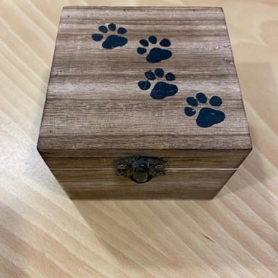 Servicios Incineración de mascotas en Plasencia